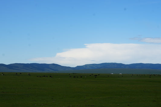 Log.06 現場から始める、ということ