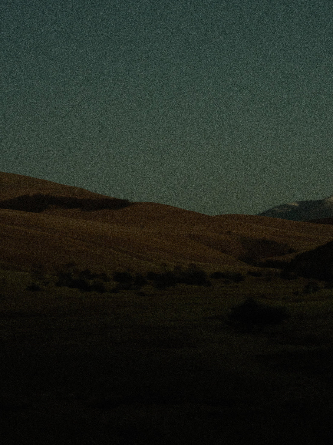 log.01 なぜ、ヤクなのか