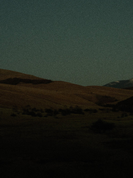 log.01 なぜ、ヤクなのか