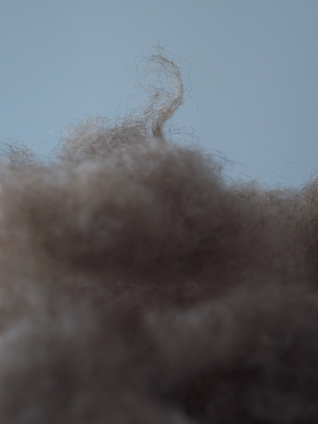 log.04 限定少量生産、という選択